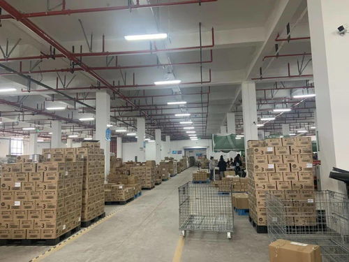 總值突破3000億元 2020年義烏外貿進出口數據發布